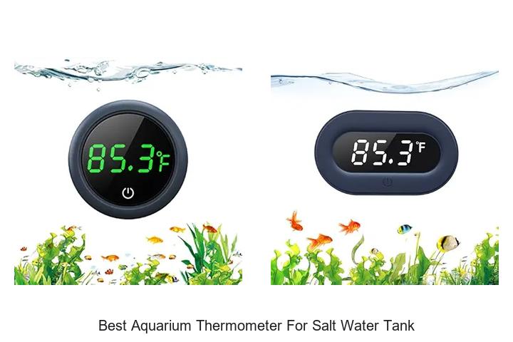 Top 12 Best Aquarium Thermometer for Salt Water Tank Revealed!