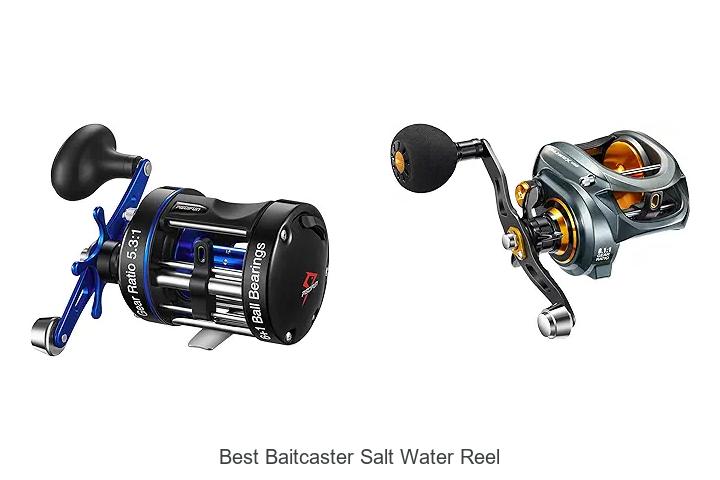 Top 12 Best Baitcaster Salt Water Reel That Anglers Love!