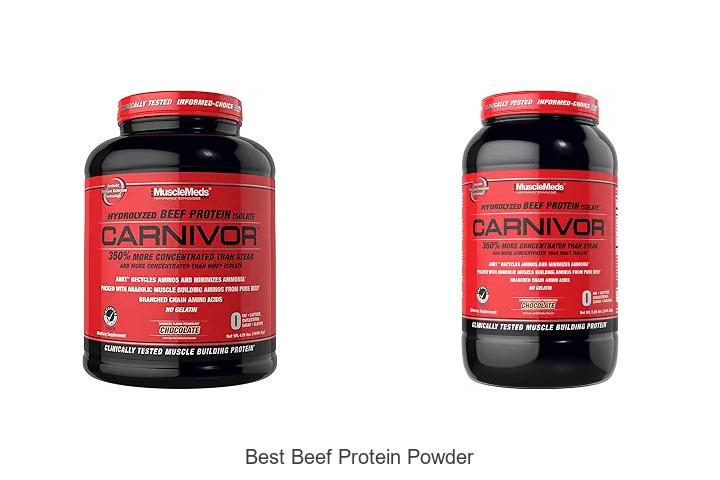Top 12 Best Beef Protein Powder for Maximum Muscle Gains