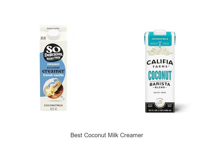 Top 12 Best Coconut Milk Creamer You Can’t Miss Now