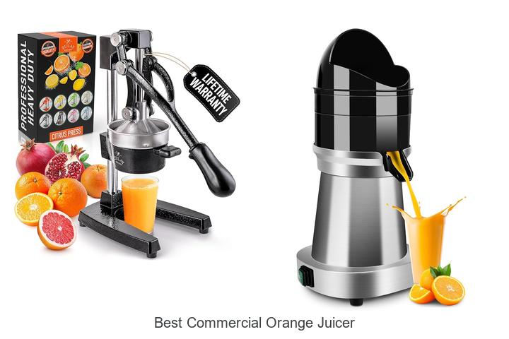 Top 12 Best Commercial Orange Juicer That Boosts Profits