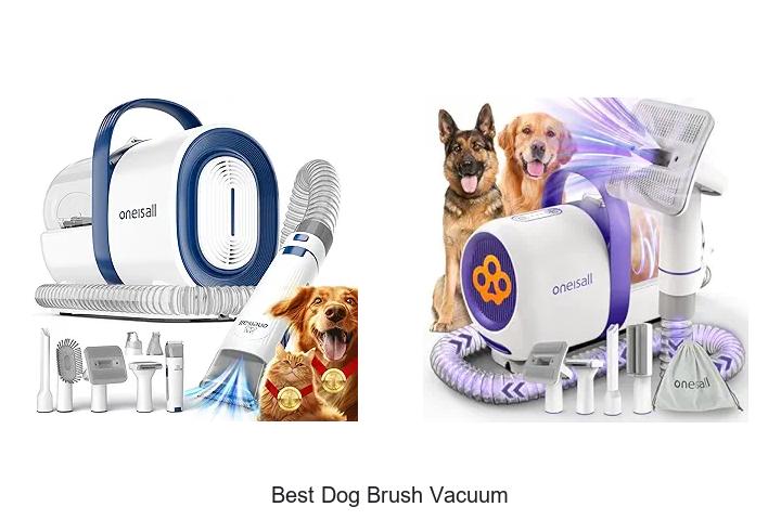 Top 12 Best Dog Brush Vacuum That Will Change Pet Hair Cleanup
