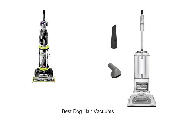 Top 12 Best Dog Hair Vacuums That Will Blow Your Mind!