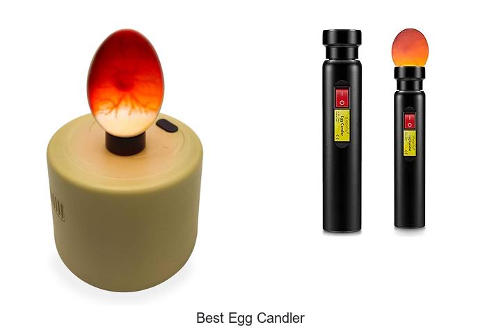Top 12 Best Egg Candler You Can’t Miss for Perfect Eggs