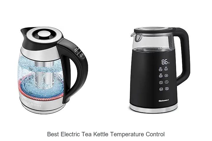 Top 12 Best Electric Tea Kettle Temperature Control Hacks