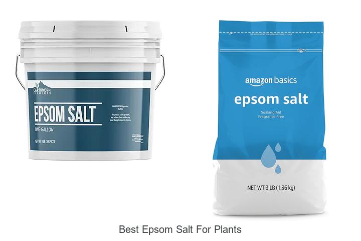 Top 12 Best Epsom Salt For Plants That Will Boost Growth!
