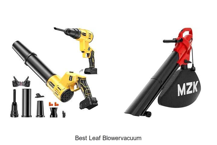 Top 12 Best Leaf Blowervacuum That Will Blow You Away!