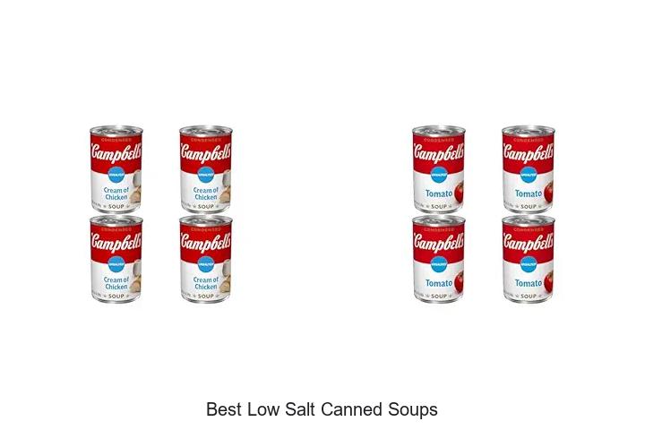 Top 12 Best Low Salt Canned Soups You Need to Try Now