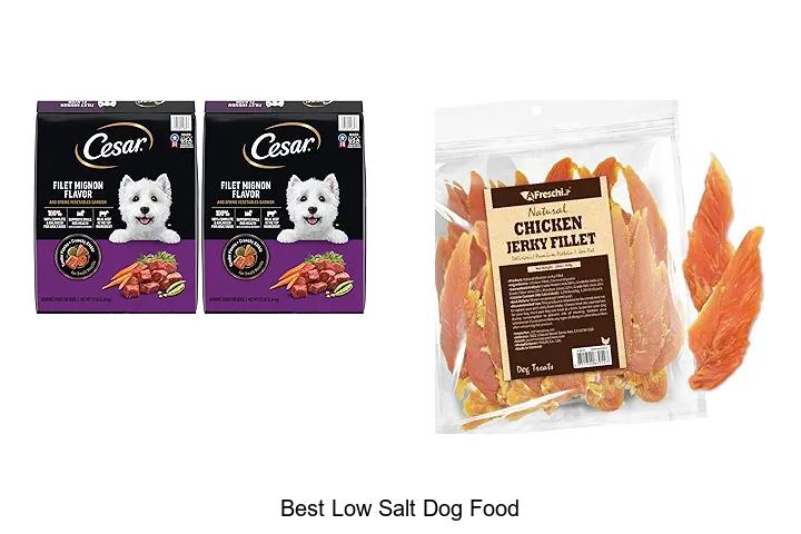 Top 12 Best Low Salt Dog Food That Your Pup Will Love!