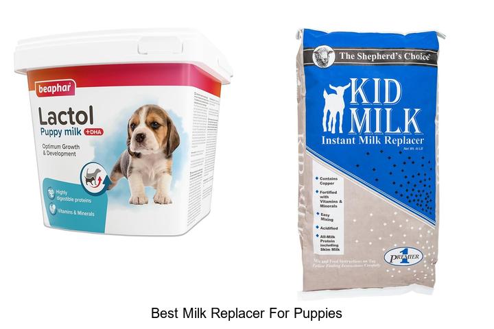 Top 12 Best Milk Replacer For Puppies You Must Try Today!