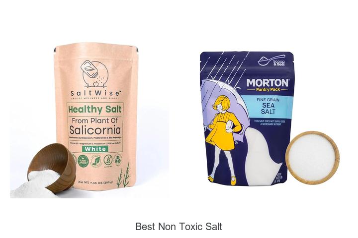 Top 12 Best Non Toxic Salt Choices You Can’t Miss