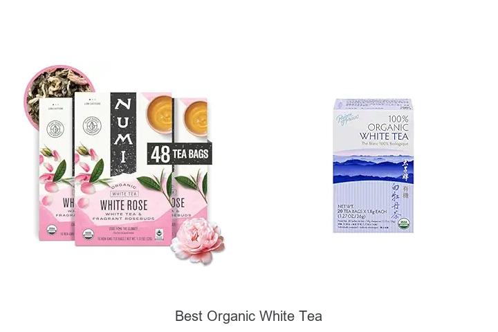 Top 12 Best Organic White Tea You Can’t Miss Today!