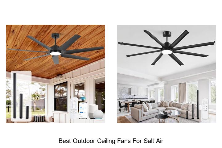 Top 12 Best Outdoor Ceiling Fans for Salt Air That Last