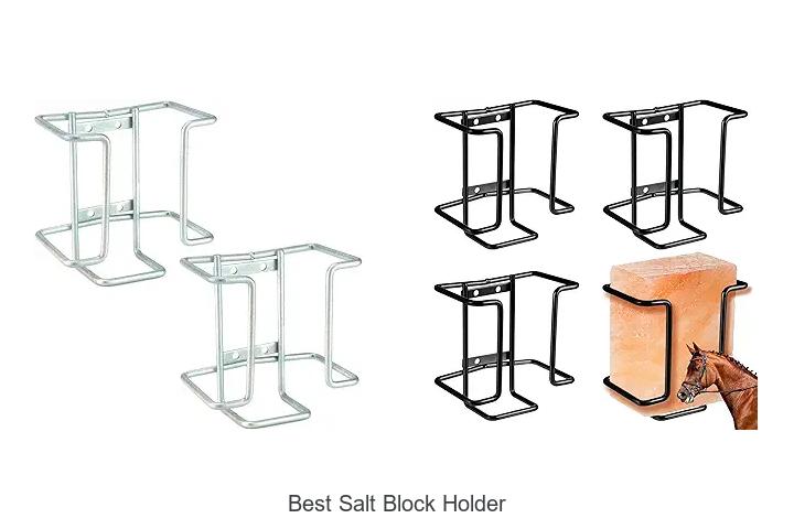 Top 12 Best Salt Block Holder You Can’t Miss Today