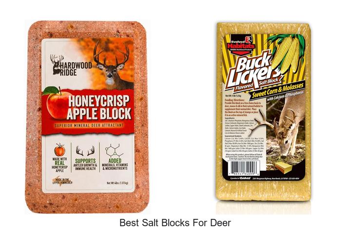 Top 12 Best Salt Blocks For Deer That Hunters Swear By