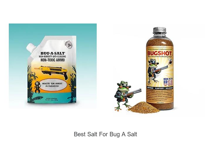 Top 12 Best Salt For Bug A Salt That Actually Works!