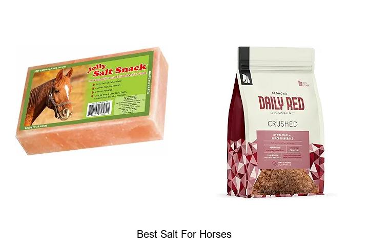 Top 12 Best Salt For Horses That Boost Health Fast