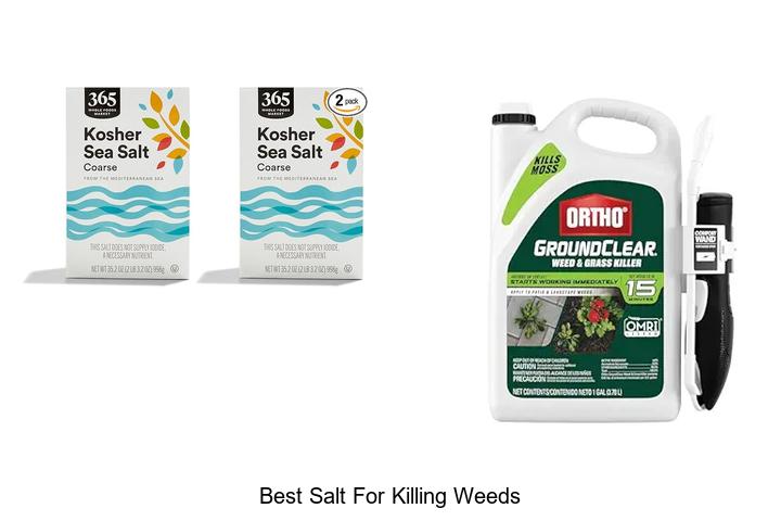Top 12 Best Salt For Killing Weeds That Really Works Fast