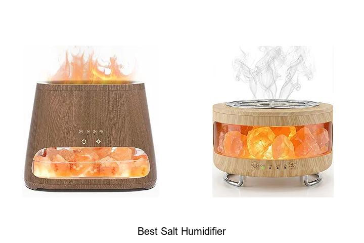 Top 12 Best Salt Humidifier That Will Change Your Life!