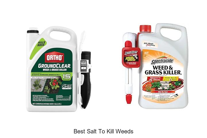 Top 12 Best Salt To Kill Weeds Fast And Effectively!