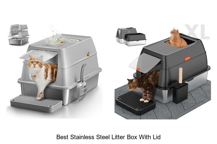 Top 12 Best Stainless Steel Litter Box With Lid Revealed!