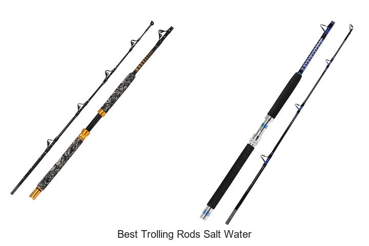 Top 12 Best Trolling Rods Salt Water Anglers Swear By!