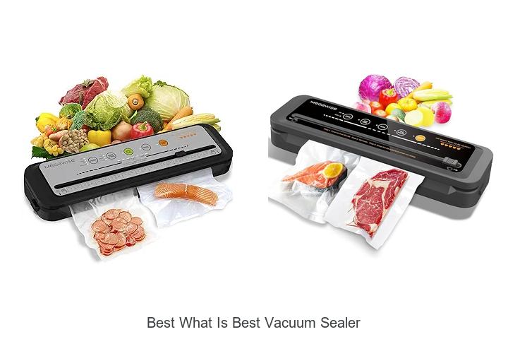 Top 12 Best What Is Best Vacuum Sealer You Must Own Now